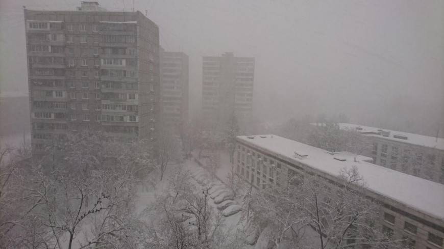 Синоптики анонсировали в Москве первый осенний снегопад