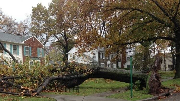 Сильный ветер в Краснодаре повалил стрелу крана и более 20 деревьев