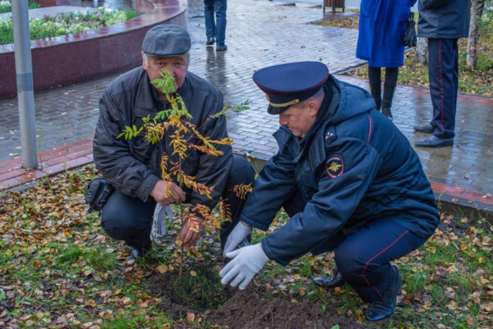 Мурманские полицейские посадили деревья для «Леса Победы»