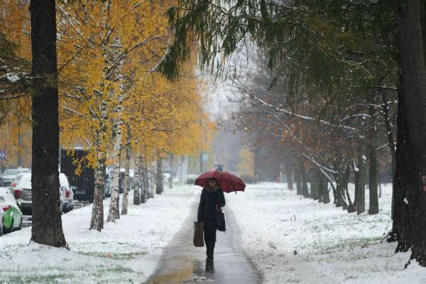 Росгидромет рассказал, какой будет грядущая зима в России