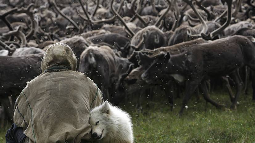 «Они не могут вернуться»: пограничники увезли якутских оленеводов за сотни километров от дома, чтобы проверить паспорта