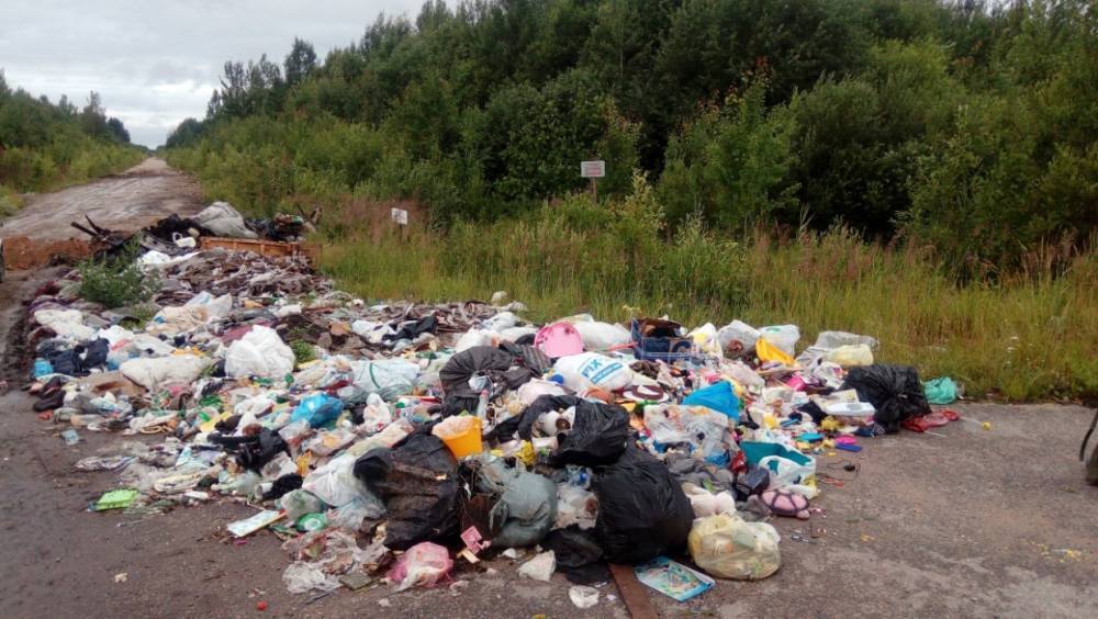 В Архангельской области освободят от мусора около 300 гектаров леса