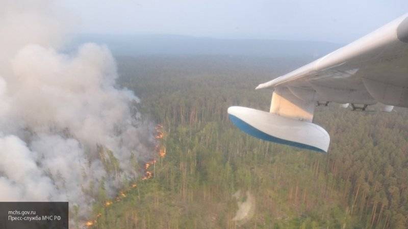 Полномочия по тушению лесных пожаров предложили передать на федеральный уровень