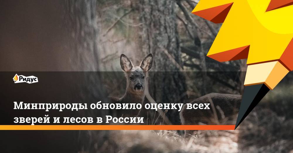 Минприроды обновило оценку всех зверей и лесов в России