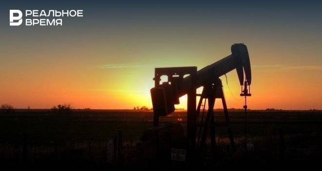 «Транснефть» намерена принять с территории Татарстана более 33 млн тонн нефти в 2019 году