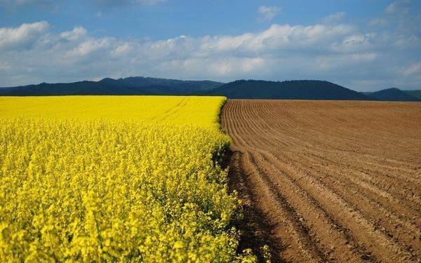 Киев обещает изымать сельхозземли у россиян