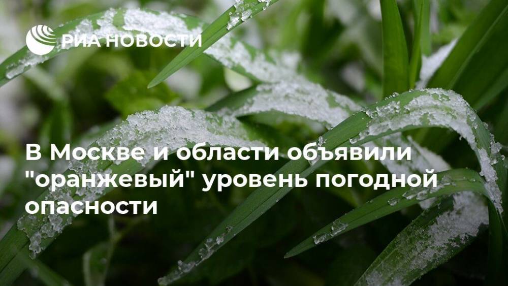 В Москве и области объявили "оранжевый" уровень погодной опасности