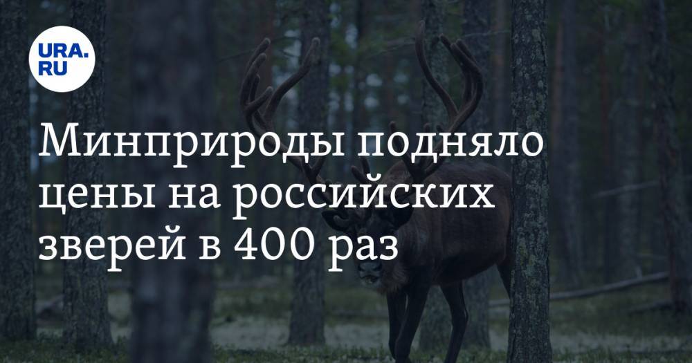 Минприроды подняло цены на российских зверей в 400 раз
