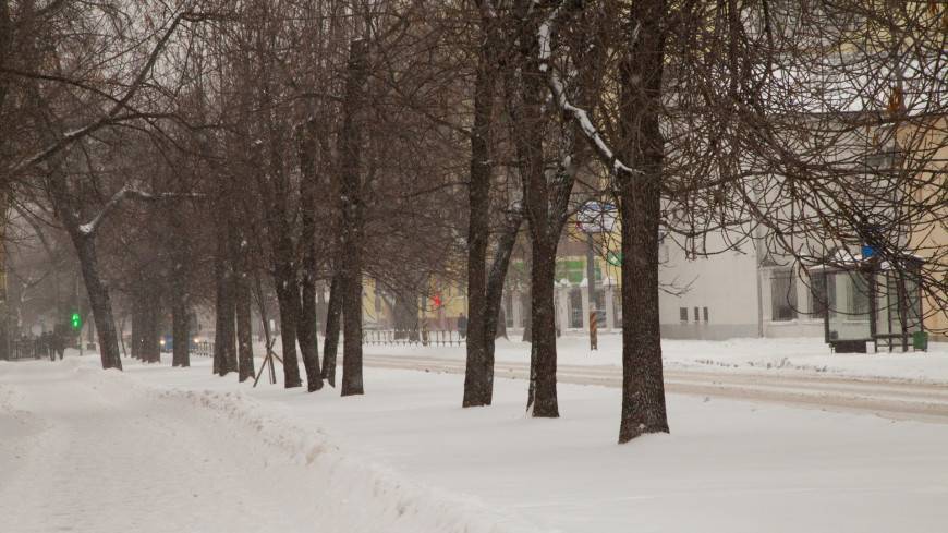 Аномальная зима скажется на здоровье россиян