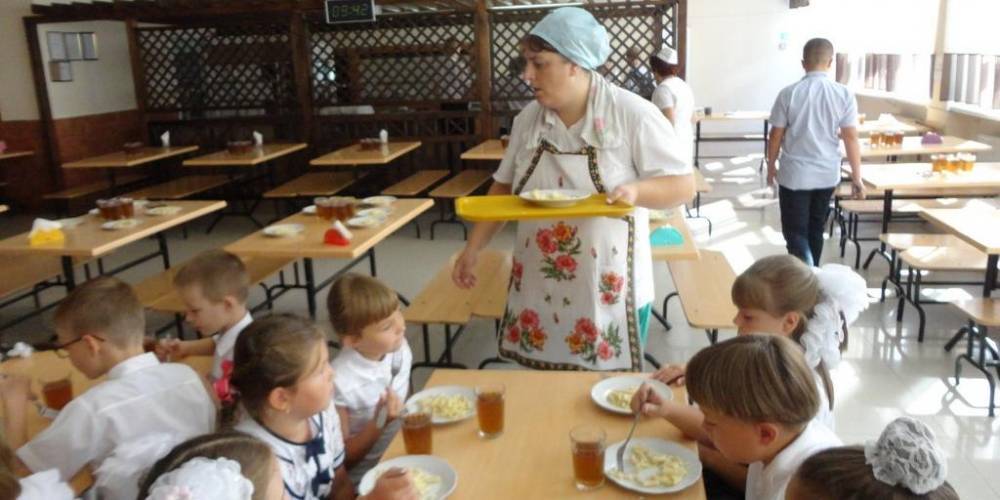 Госдума может обязать школы обеспечивать ученикам горячее питание