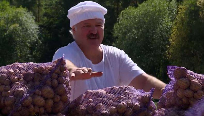 Российский волонтёр в Донбассе объяснил, где находится место «стратега» Лукашенко