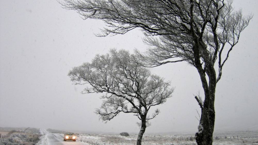 МЧС предупредило жителей Карелии о сильном ветре и снеге в воскресенье