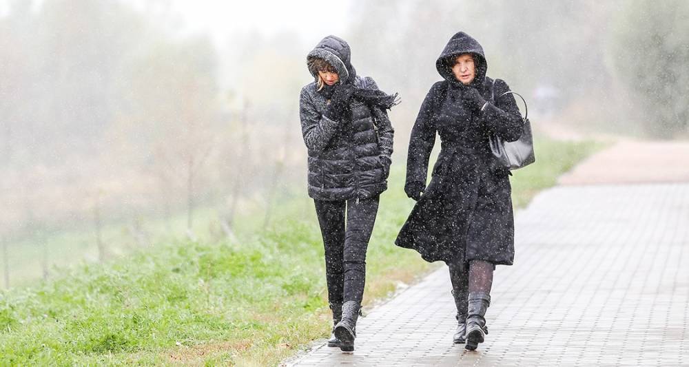 МЧС предупредило москвичей о мокром снеге и сильном ветре в воскресенье