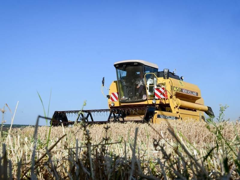 В Киеве пообещали конфисковать купленные россиянами сельхозземли