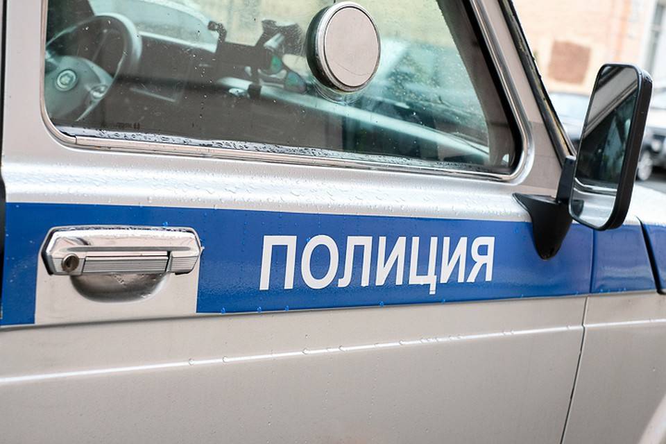 В Петербурге полиция задержала участников акции в поддержку мира и Украины
