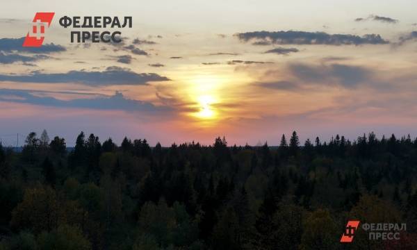 На экофестивале москвичам рассказали, что можно сделать для спасения лесов