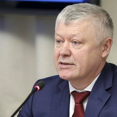 Пискарев предложил ввести штрафы за вмешательство в дела России