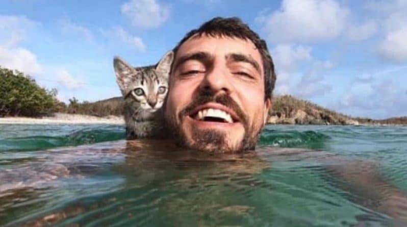 Настоящей сенсацией в сети стали видео котенка, обожающего плавать в океане со своим «папой»
