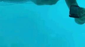 Мужчина из США сделал предложение своей возлюбленной под водой и погиб.