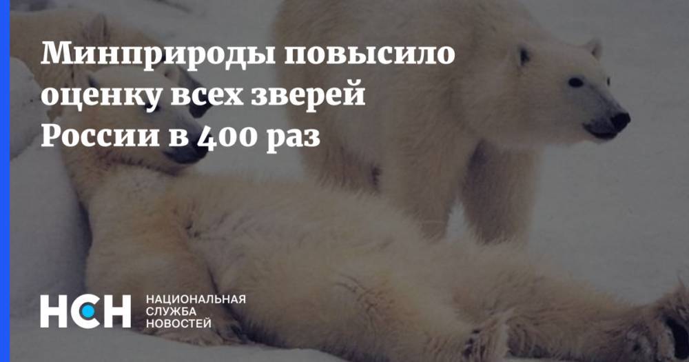 Минприроды повысило оценку всех зверей России в 400 раз