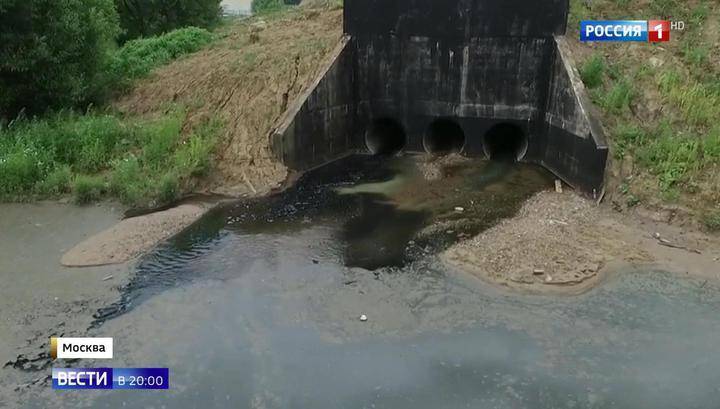 Ядовитый пруд в Новой Москве: кто сливал в водоем аммиак и формальдегид
