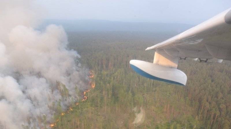 Площадь лесных пожаров в РФ в зоне активного тушения за сутки осталась прежней
