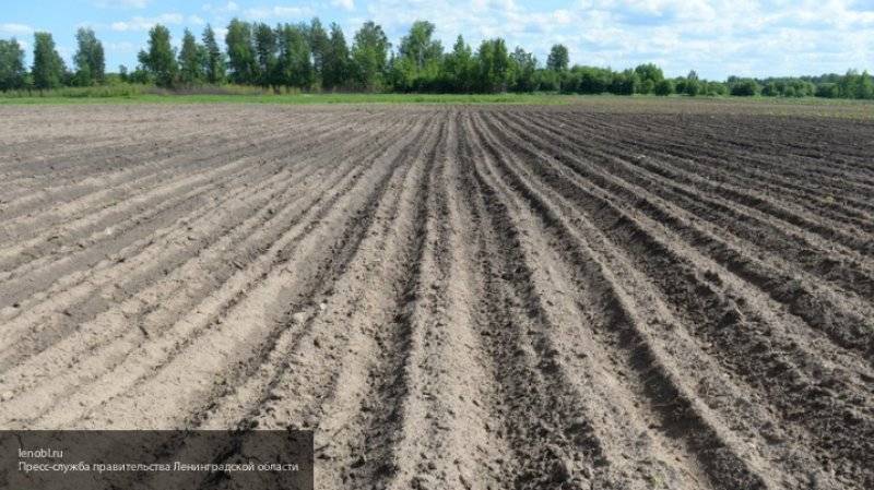 Украинский министр призвал конфисковать купленные россиянами сельскохозяйственные земли