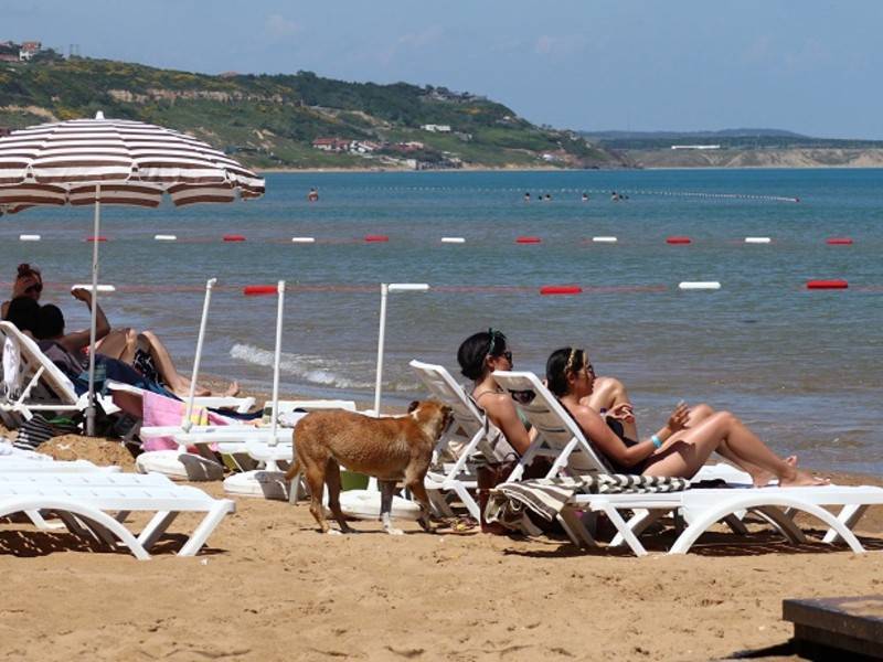 Эксперт назвал главные причины смерти туристов из России в Турции