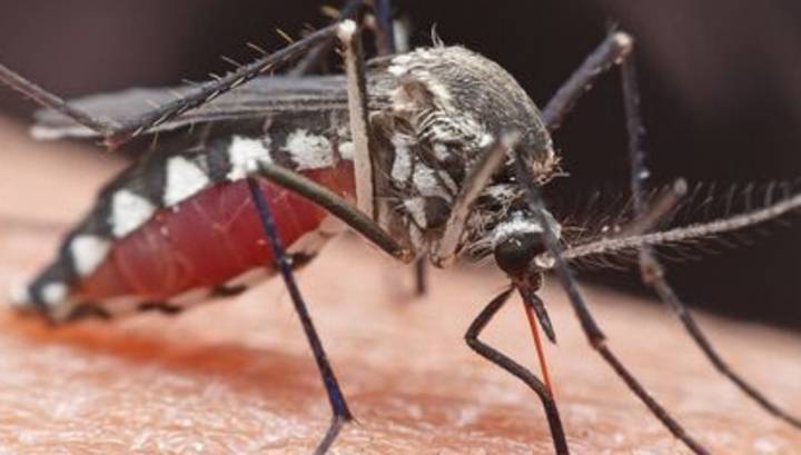 В Мичигане комар убил 64-летнего мужчину