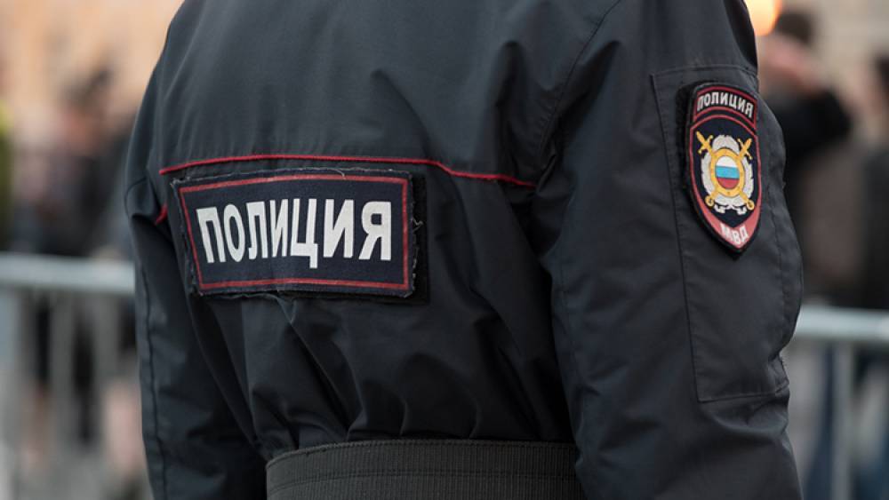 Полиция Петербурга задеражала 15-летнего юношу за украденный телефон у подростка