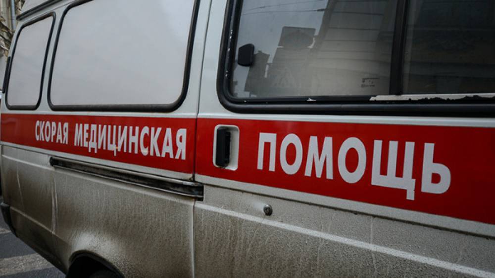 В ДТП на трассе Петербург&nbsp;— Псков пострадали женщина и четырехгодовалый ребенок