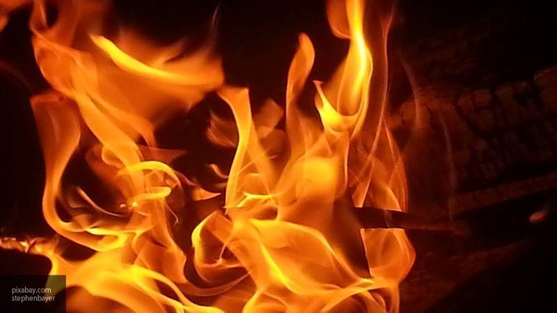 Семья погибла из-за пожара в доме в Удмуртии