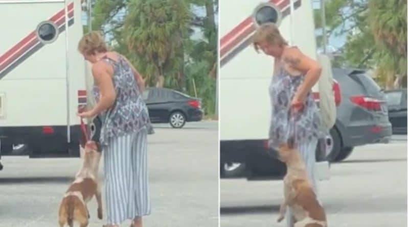 Вирусное видео, на котором женщина бьет и почти душит собаку, помогло найти и арестовать обидчицу животного