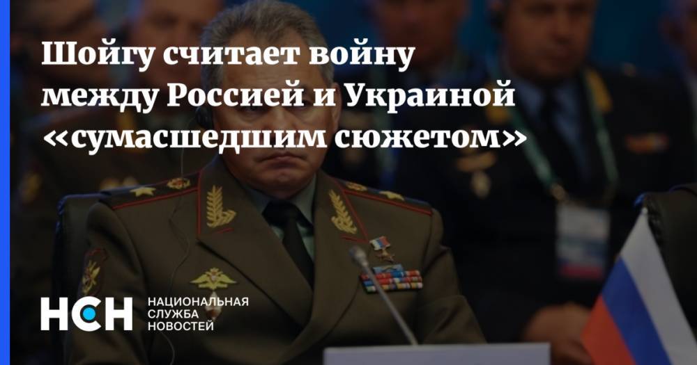 Шойгу считает войну между Россией и Украиной «сумасшедшим сюжетом»