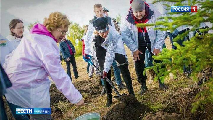 "Сохраним лес": к трем миллионам россиян присоединились знаменитости