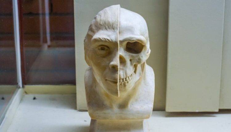 Ученые впервые реконструировали облик загадочного древнего человека