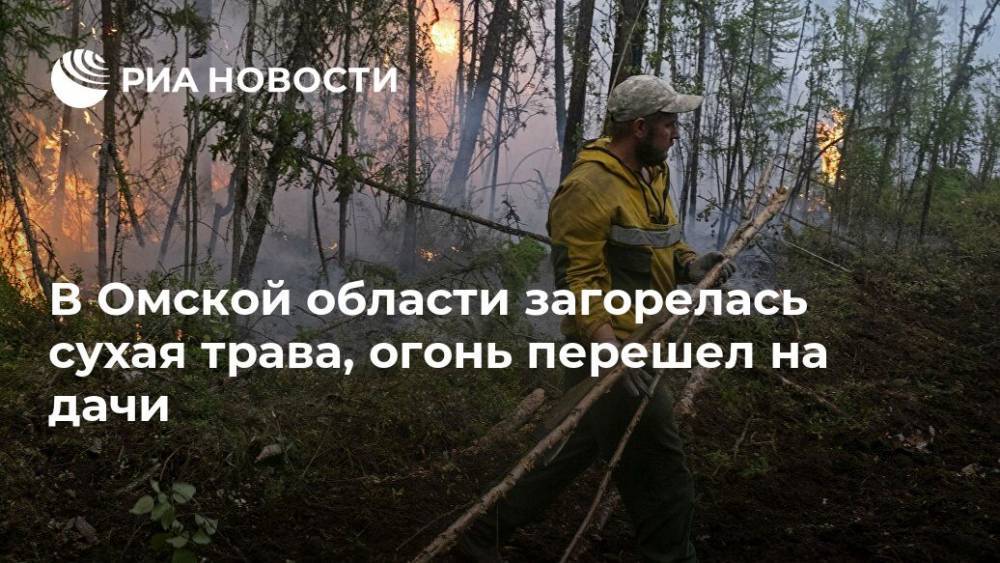 В Омской области загорелась сухая трава, огонь перешел на дачи