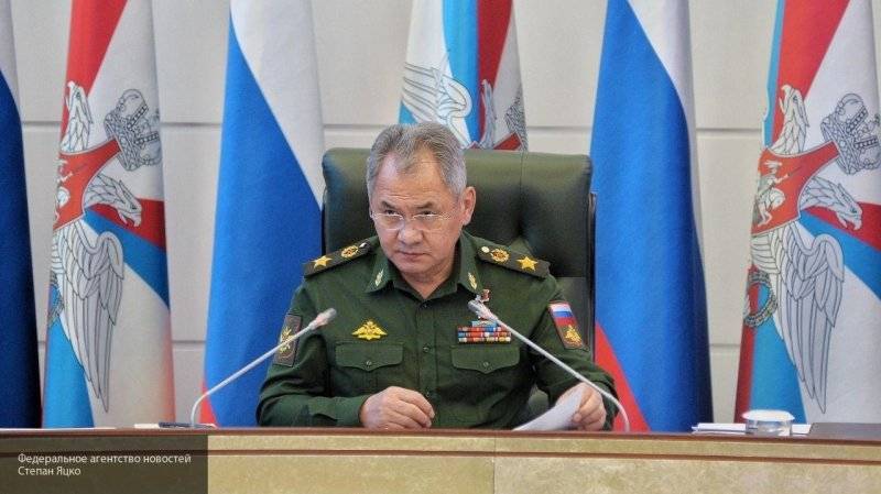 Шойгу не исключил, что в России могут отменить обязательный призыв в армию