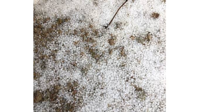 На Ленобласть обрушился первый снег с градом