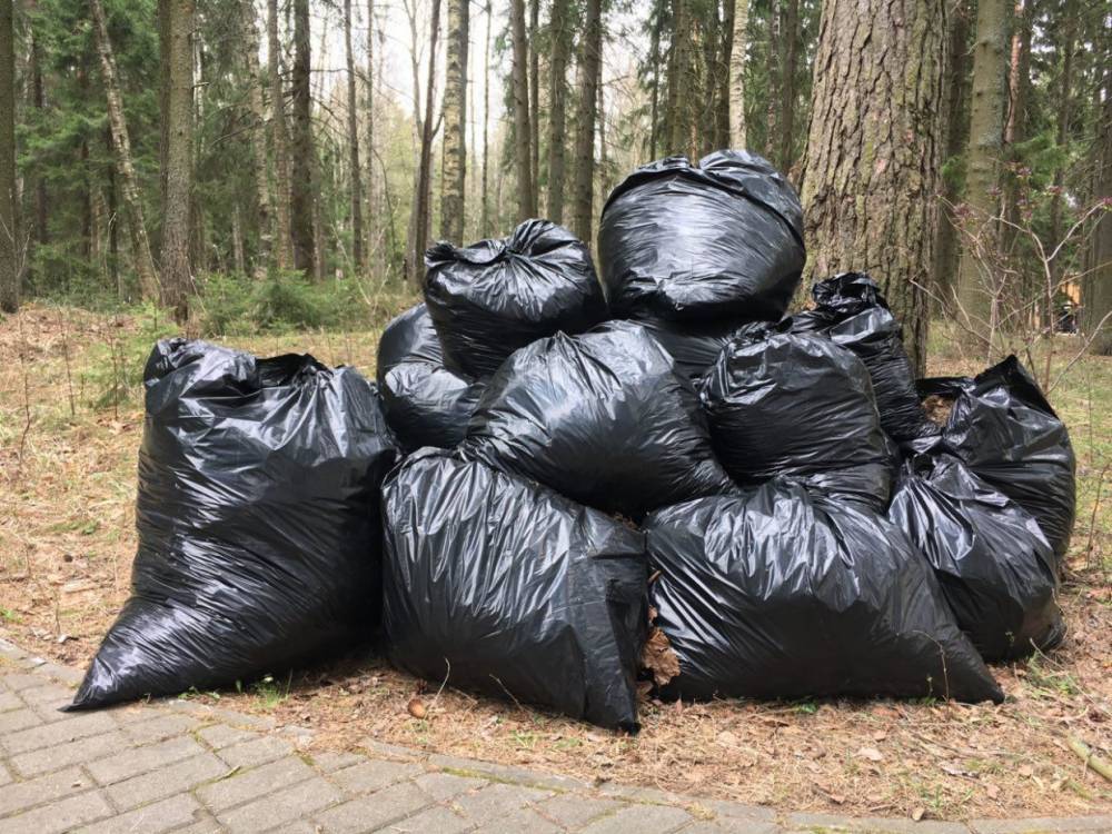 В Колпинском районе Петербурга на «Чистых играх» убирали мусор за любителями шашлыков