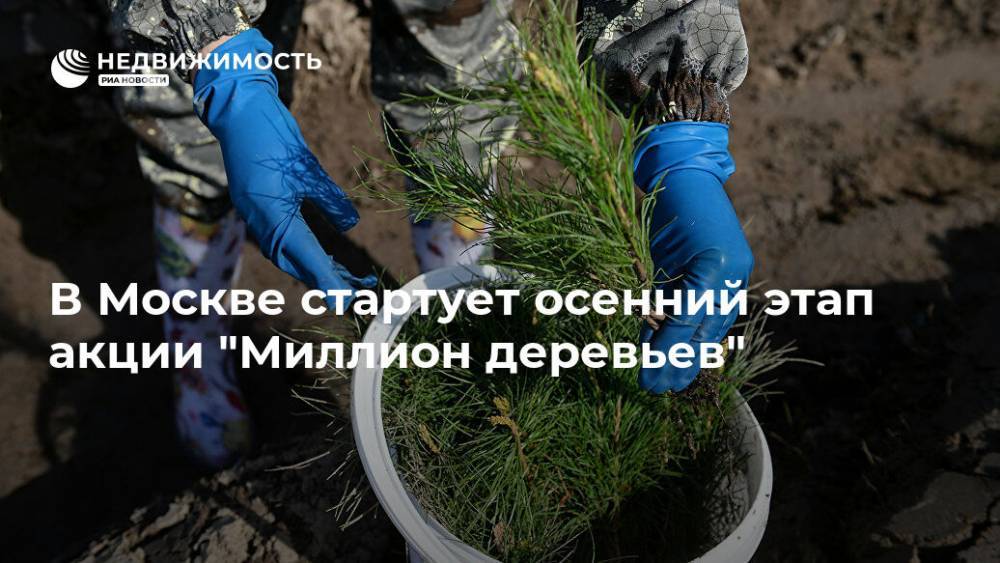 В Москве стартует осенний этап акции "Миллион деревьев"