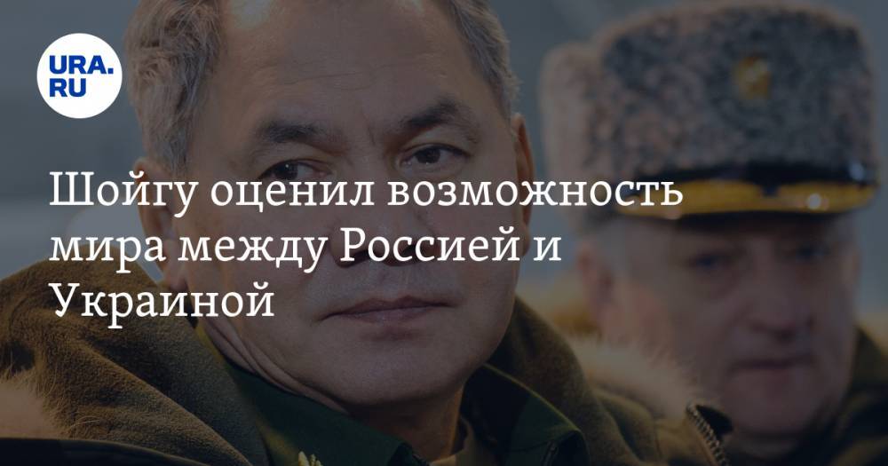 Шойгу оценил возможность мира между Россией и Украиной