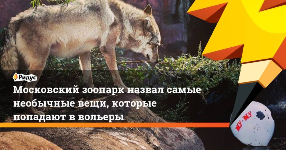 Московский зоопарк назвал самые необычные вещи, которые попадают в вольеры