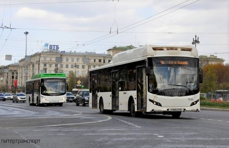 Петербургские автобусы фиксируют нарушения ПДД