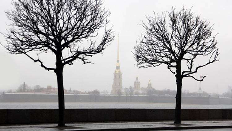 Неделя в Петербурге начнется с холодной погоды