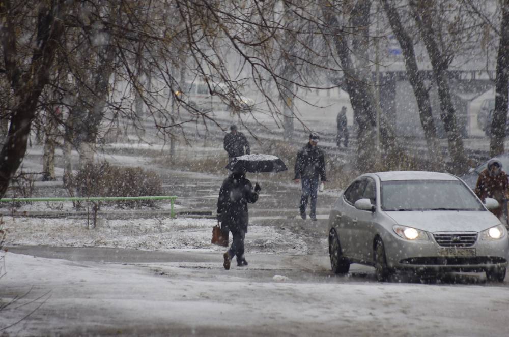 В Центральной России прошел первый снег