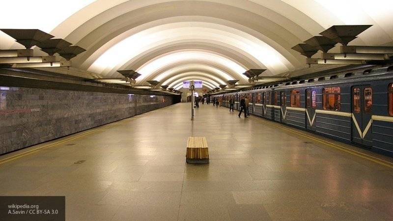 Студент погиб в Петербурге, упав под поезд в метро