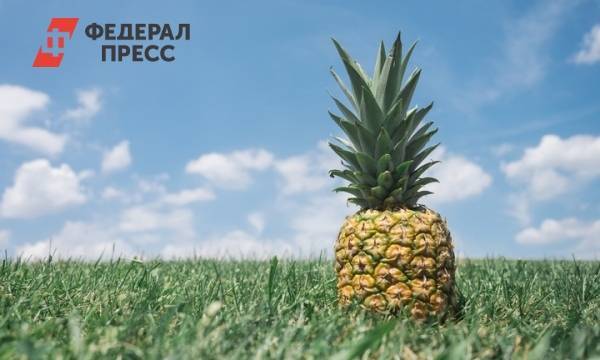 В России к 2021 году экзотические фрукты будут создавать в лабораториях