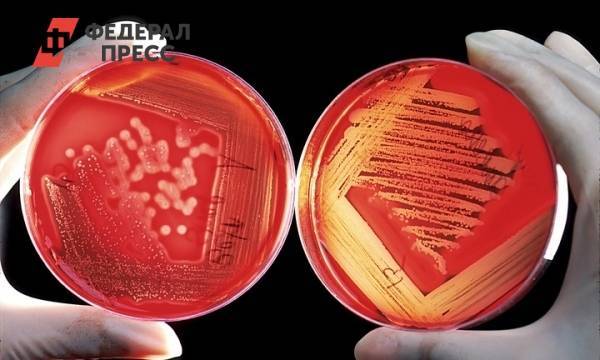 Врачи обнаружили микробы, от которых не спасут антибиотики