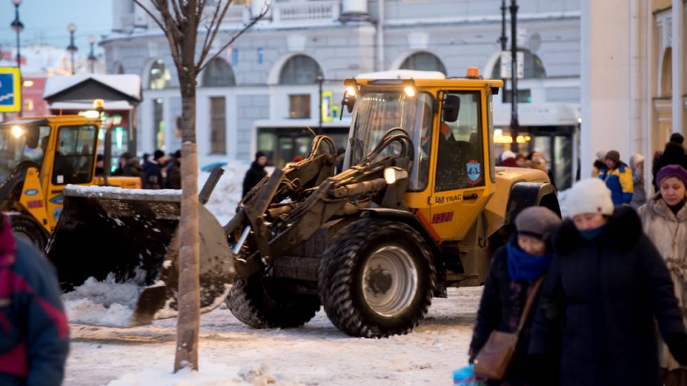 Эксперт положительно оценила действия властей Петербурга по подготовке города к зиме
